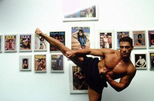 动作巨星,巅峰时刻的传奇身影