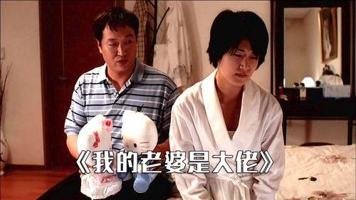 入赘后，我仍是大佬,我依然是家族大佬的传奇人生